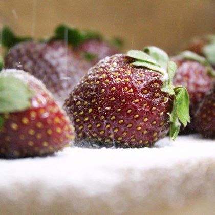 Food Photography
