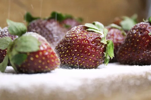 Food Photography
